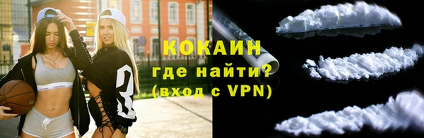 apvp Рославль
